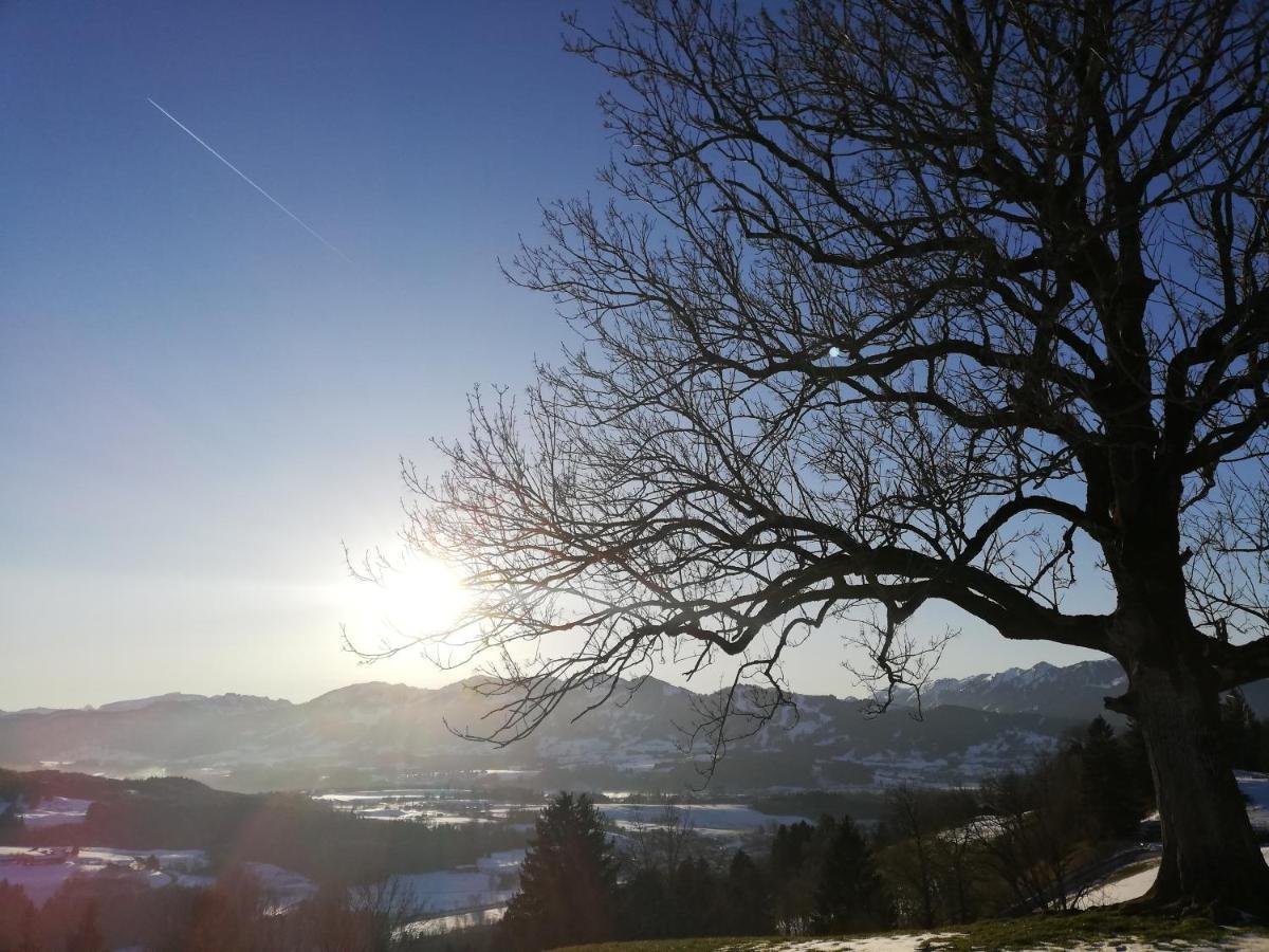 Apartment Alpblick *
