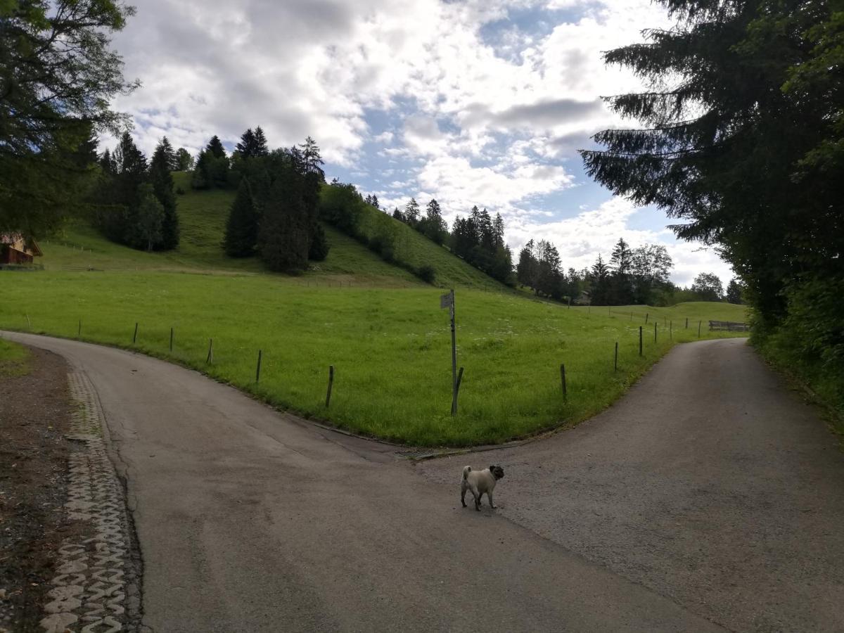 Alpblick Apartment