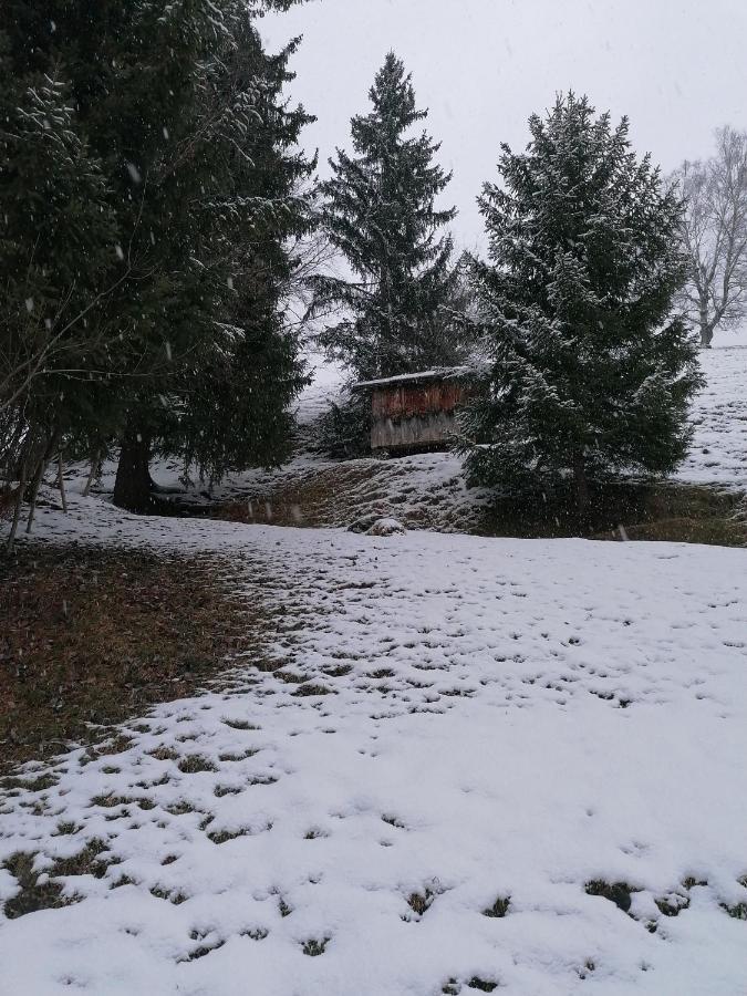 Apartment Alpblick *