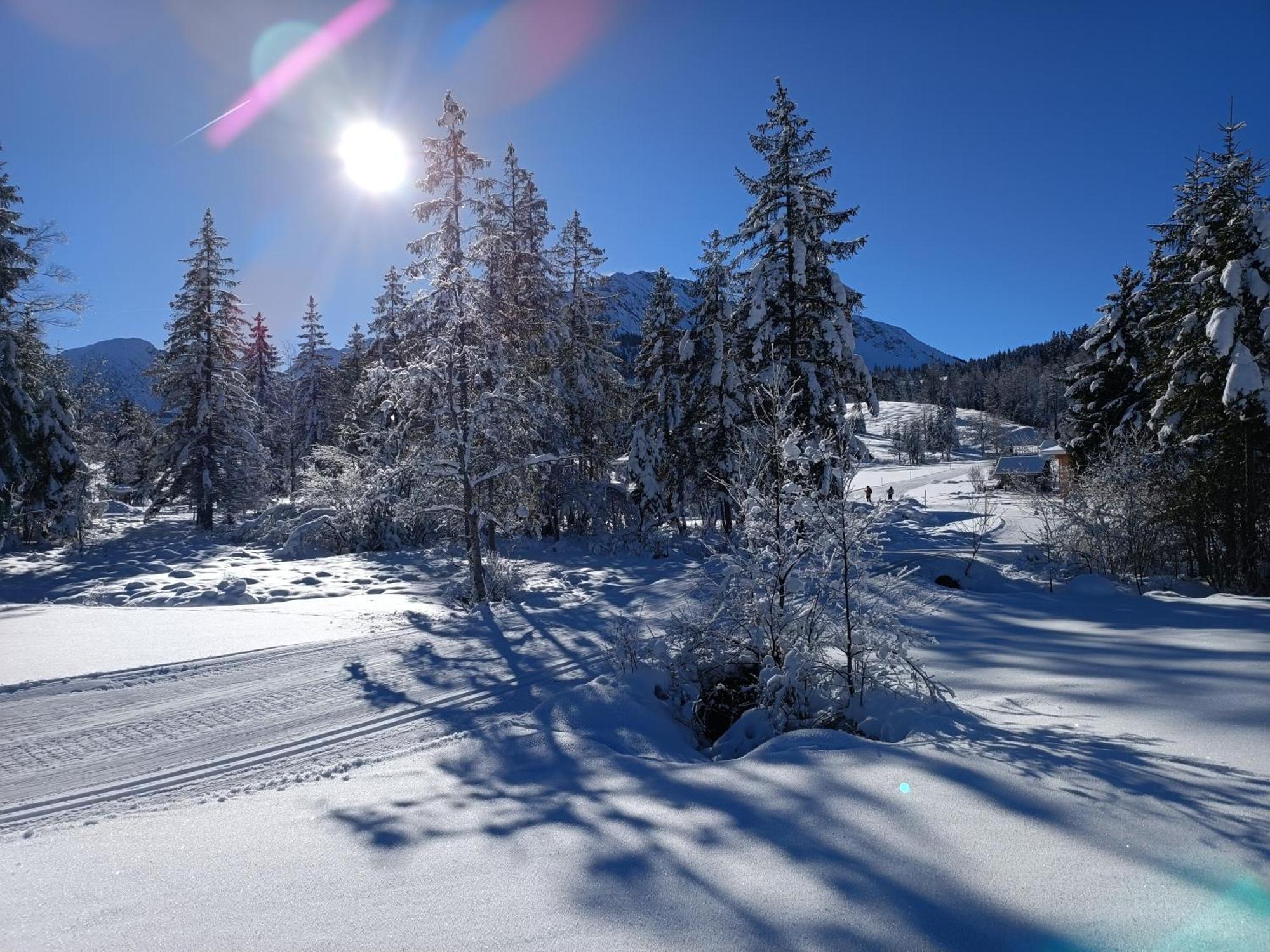 Alpblick Apartment Sonthofen