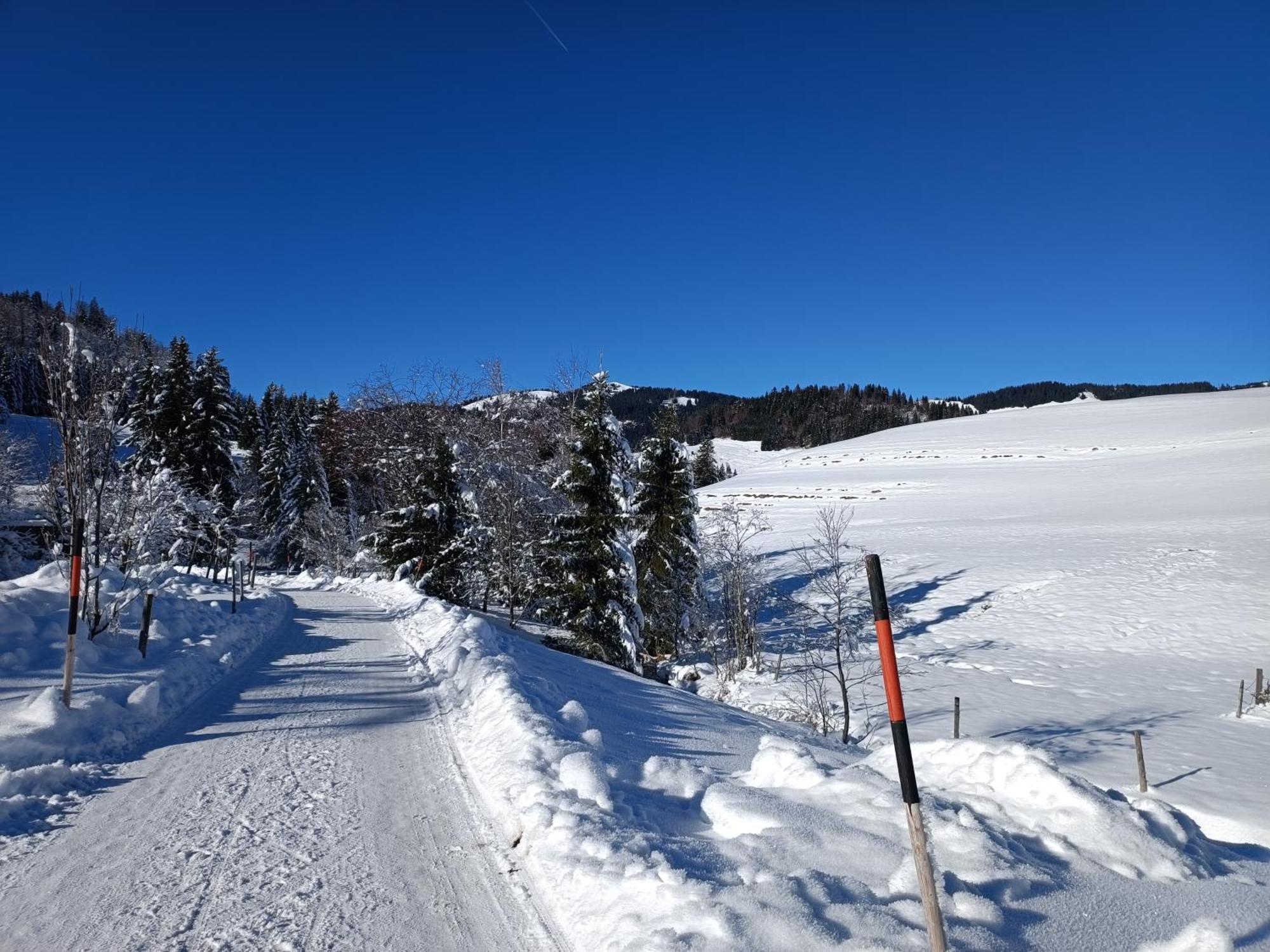 Alpblick * Sonthofen